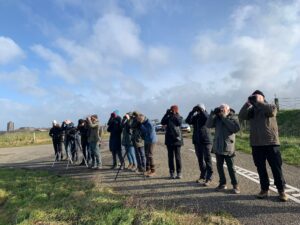 Excursie Plan Tureluur Dauwtrappen 29-05-2025
