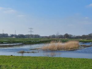 Lage Vuchtpolder - plasdras