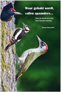 Lezing 5-6-2025