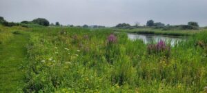 Excursie Dintelse Gorzen 22-02-2025