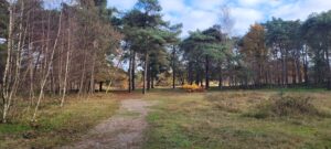excursie Surea Boswachterij Dorst 22-06-2025