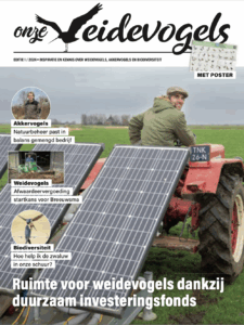 Bericht Onze weidevogels d.d 22-05-2025