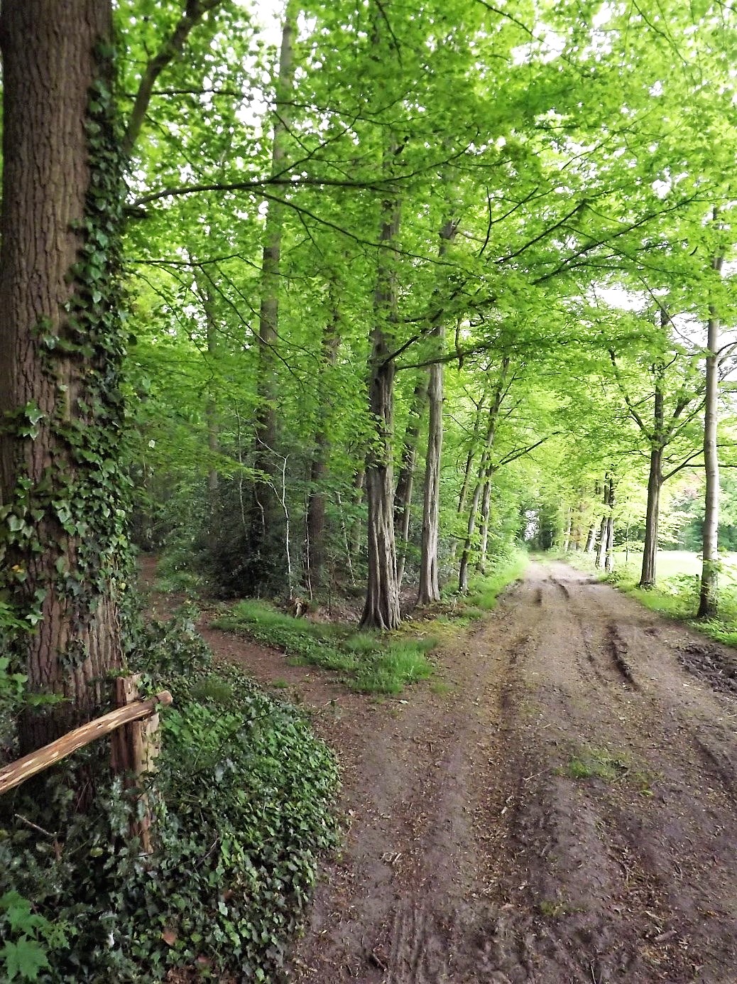 18-10-2025 Excursie Hondsdonk