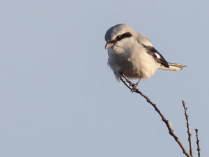 21-12-2025 Excursie Pannenhoef