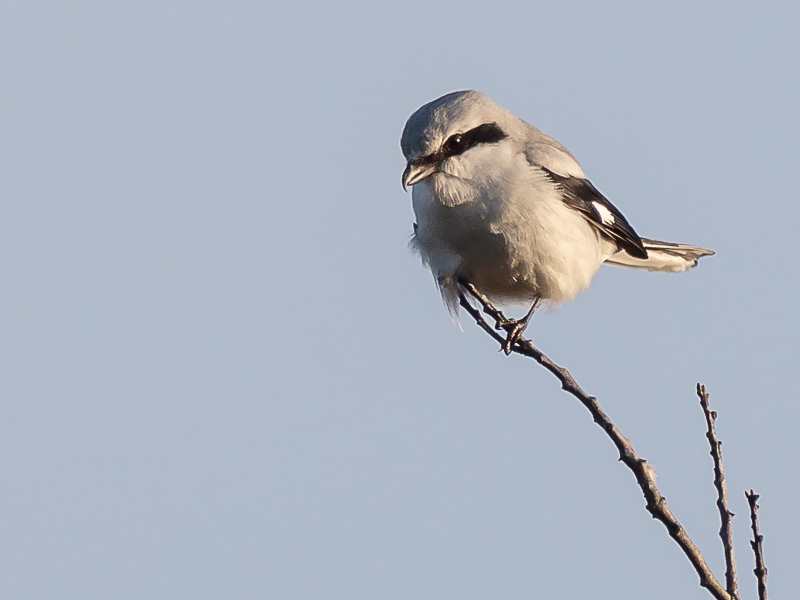21-12-2025 VOLGEBOEKT Excursie Pannenhoef