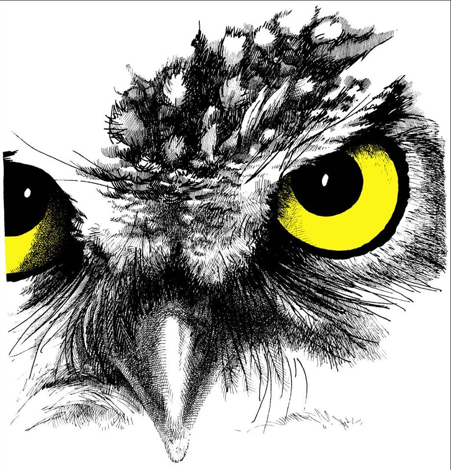 21-9-2026 2e theorieavond cursus Van Kijken naar Waarnemen