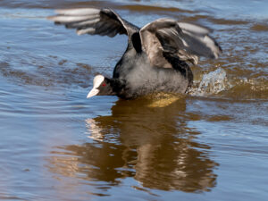 25-01-2026 excursie vierde bergboezem