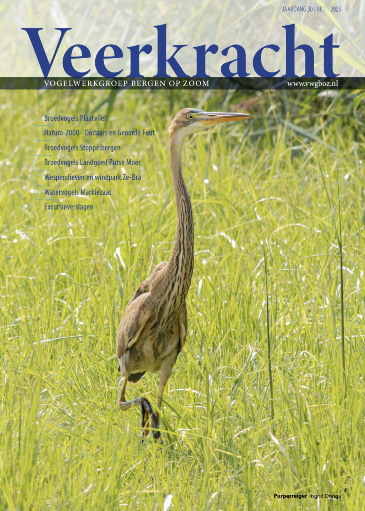 Veerkracht 2025, jaargang 30