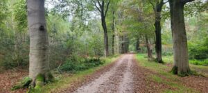 Vloeiweide foto Jan Benoist 20240906_144732