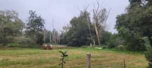 Vloeiweide foto Jan Benoist 20240906_151722