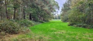 Vloeiweide foto Jan Benoist 20241009_135824