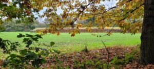 Vloeiweide foto Jan Benoist 20241019_115406