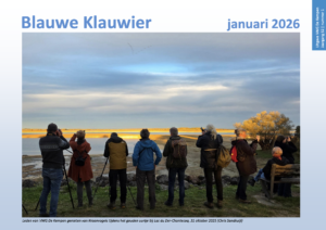 Blauwe Klauwier januari 2026