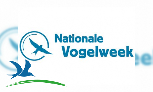 GEZOCHT voor de Nationale Vogelweek 2026