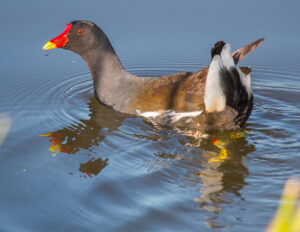 17-05-2026 Stadsexcursie