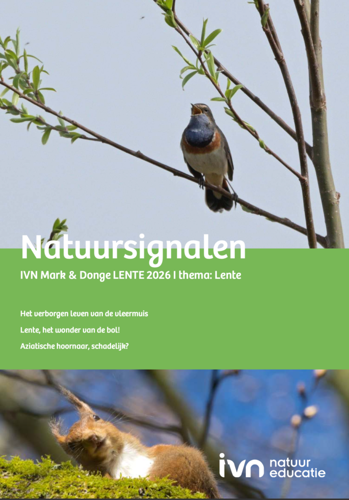 Natuursignalen Lente 2025