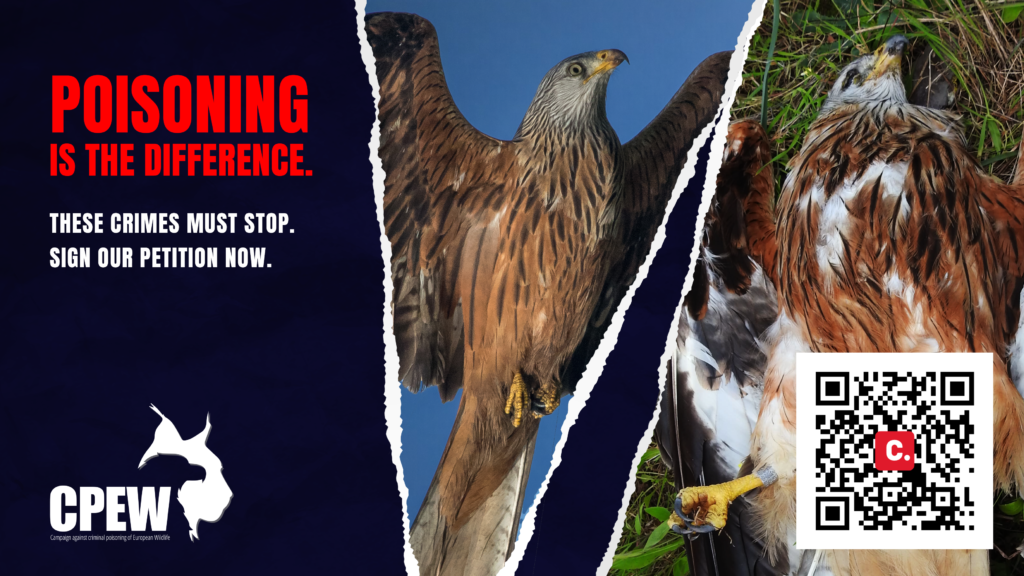 LIFE EUROKITE Crime Report