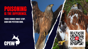 LIFE EUROKITE Crime Report