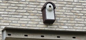 04-2026 Bericht nestkasttelling