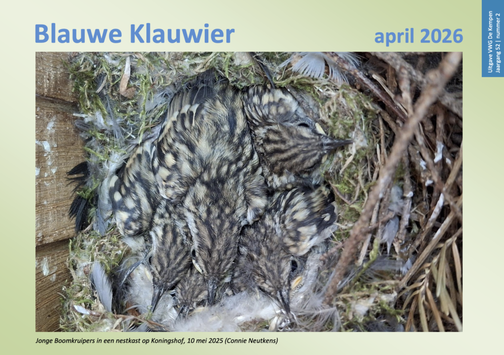 Blauwe Klauwier april 2026