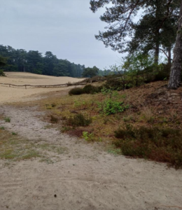 Natuurgebieden, Zurenhoek