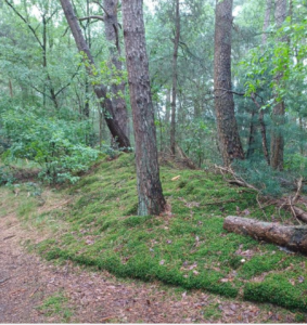 Natuurgebieden, Zurenhoek